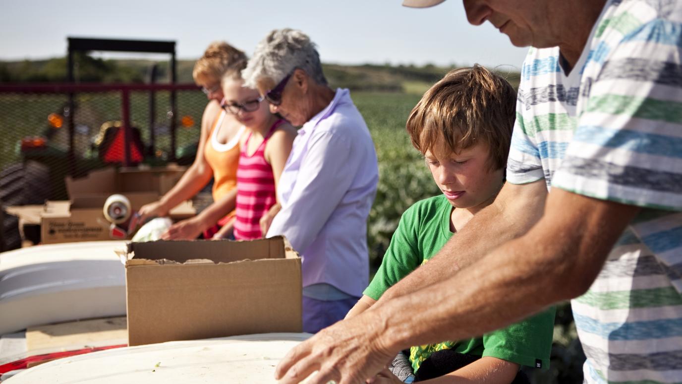 Two generations of farmers packing fresh produce in a field.