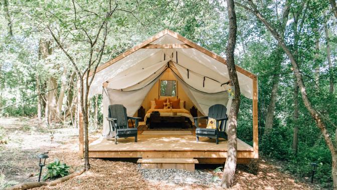 Glamping in a yurt nestled in the woods