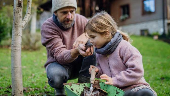 Girl and father planting tree in garden in the spring, using compost. Girl is smelling compost and learning about composting.