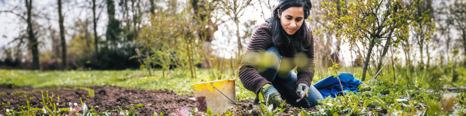 Woman kneeling in garden pulling weeds