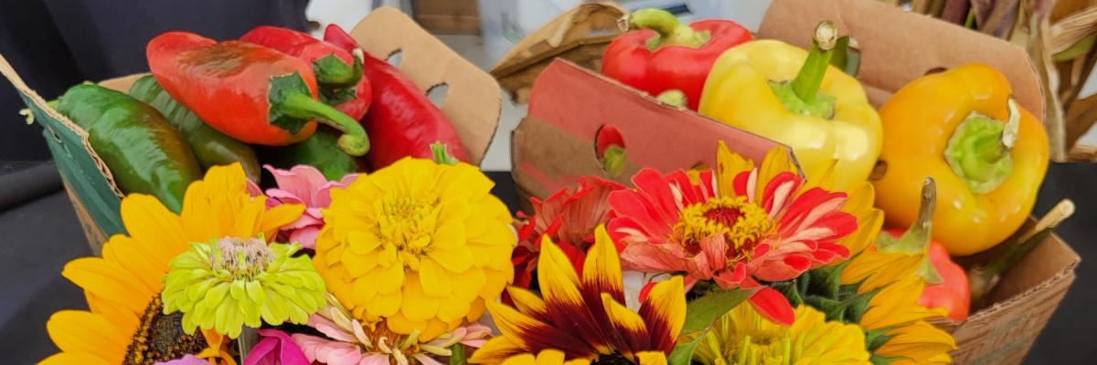 colorful peppers and flowers in cardboard boxes